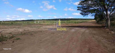 Foto Terreno