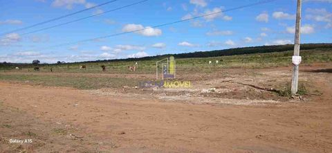 Foto Terreno