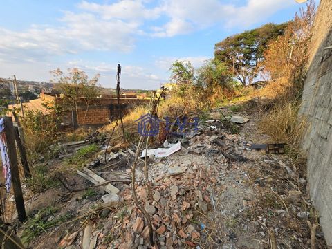 Foto Terreno