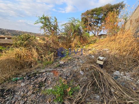 Foto Terreno