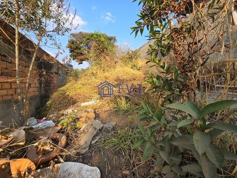 Foto Terreno