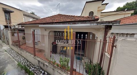 Foto Terreno