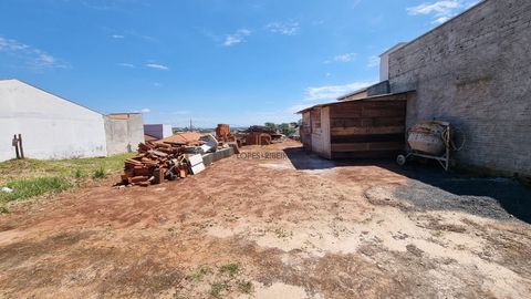 Foto Terreno