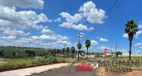 Foto Terreno