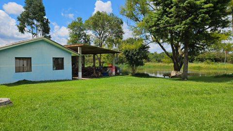 Foto Fazenda / Sítio / Chácara