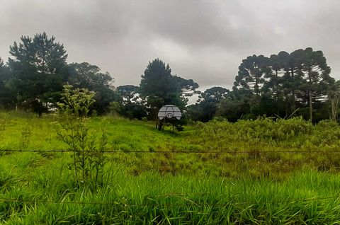 Foto Terreno