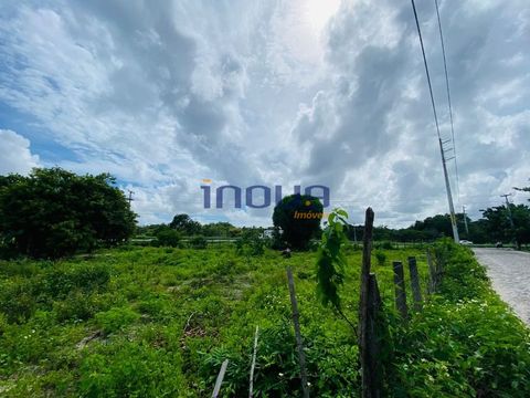 Foto Terreno