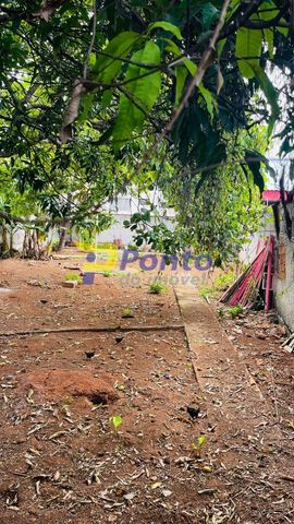 Foto Terreno