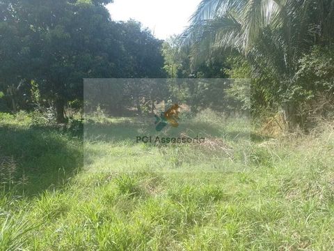 Foto Fazenda / Sítio / Chácara