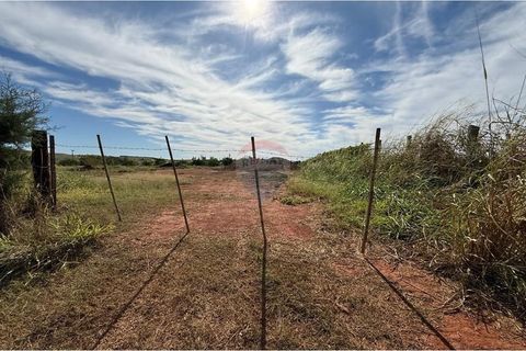 Foto Fazenda / Sítio / Chácara