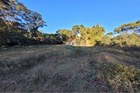 Foto Fazenda / Sítio / Chácara
