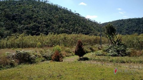 Foto Fazenda / Sítio / Chácara