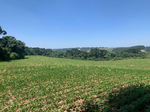 Foto Terreno