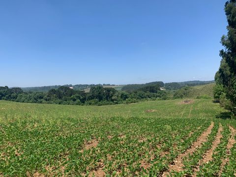 Foto Terreno