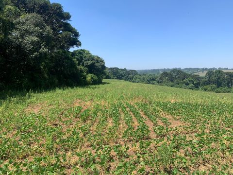 Foto Terreno