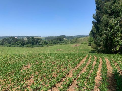 Foto Terreno