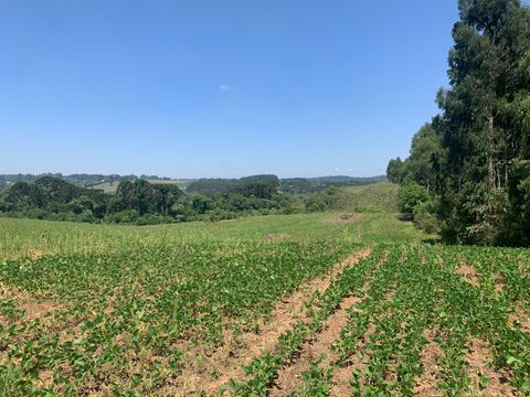 Foto Terreno