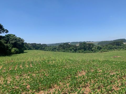 Foto Terreno