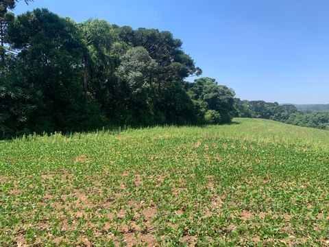 Foto Terreno