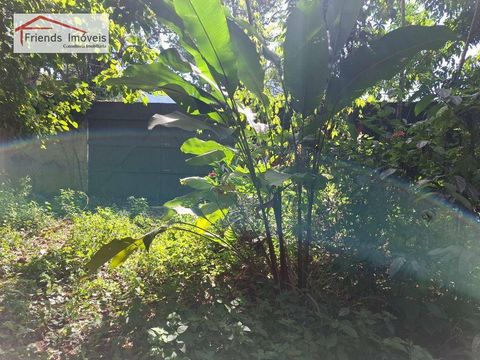 Foto Terreno