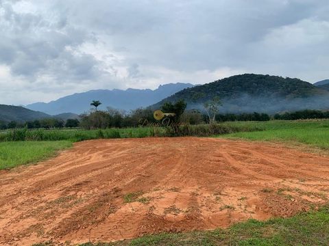 Foto Terreno
