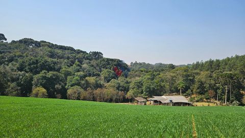 Foto Fazenda / Sítio / Chácara
