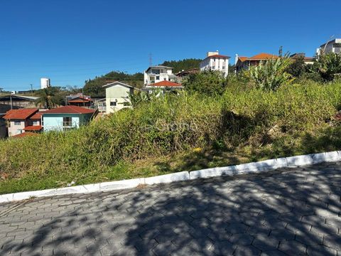 Foto Terreno