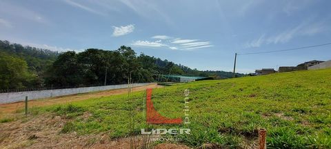 Foto Terreno