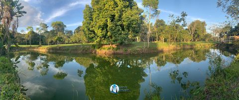 Foto Fazenda / Sítio / Chácara