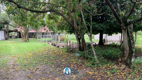 Foto Fazenda / Sítio / Chácara