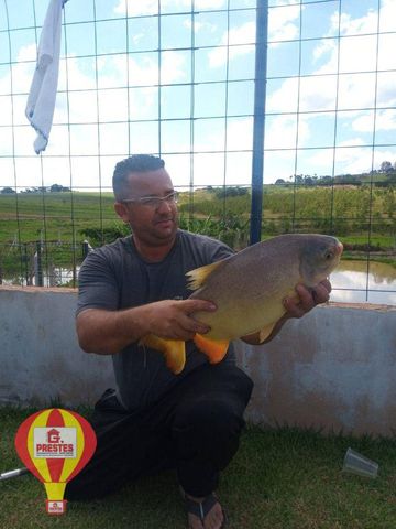 Foto Fazenda / Sítio / Chácara