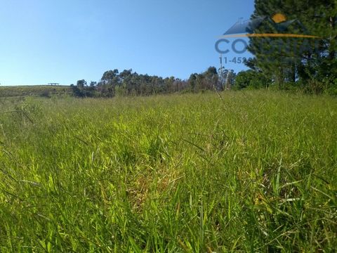 Foto Terreno