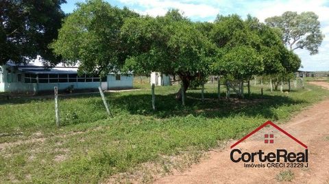 Foto Fazenda / Sítio / Chácara