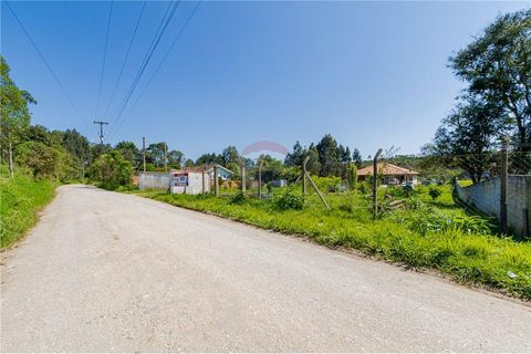 Foto Fazenda / Sítio / Chácara