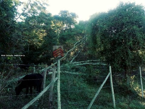Foto Fazenda / Sítio / Chácara