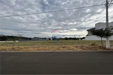 Foto Terreno