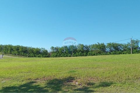 Foto Terreno
