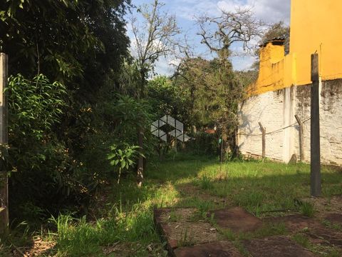 Foto Terreno
