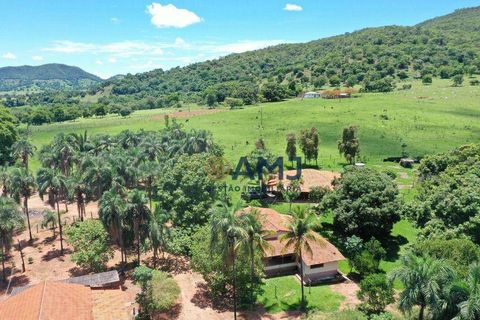 Foto Fazenda / Sítio / Chácara