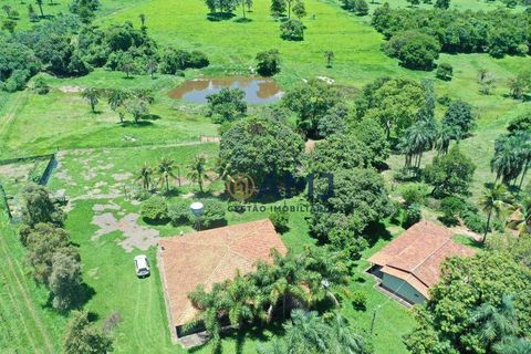Foto Fazenda / Sítio / Chácara