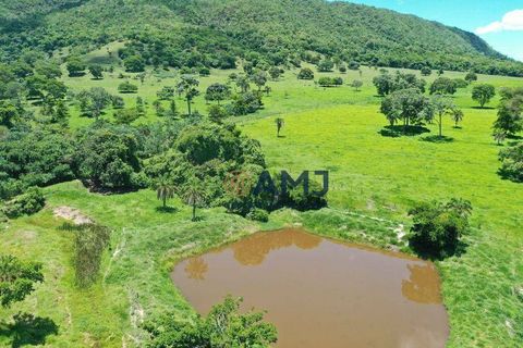 Foto Fazenda / Sítio / Chácara