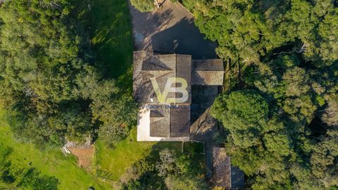 Foto Fazenda / Sítio / Chácara