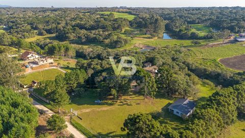 Foto Fazenda / Sítio / Chácara