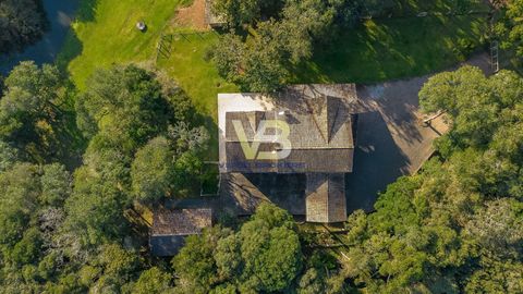 Foto Fazenda / Sítio / Chácara