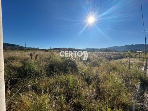 Foto Terreno