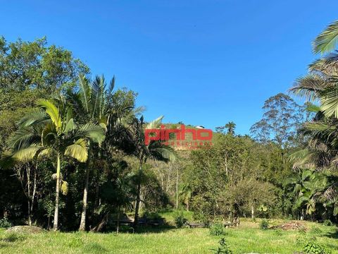 Foto Fazenda / Sítio / Chácara