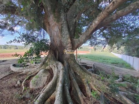 Foto Terreno