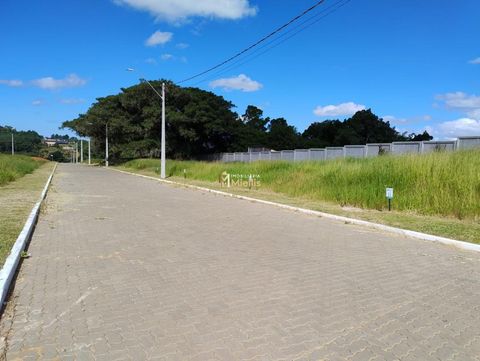 Foto Terreno