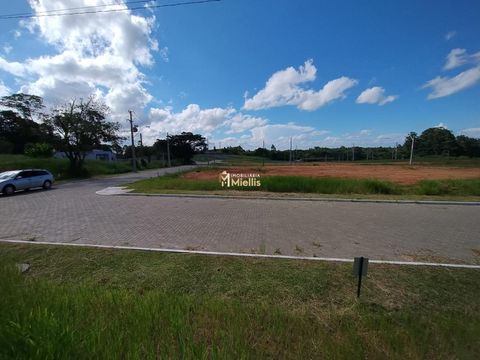 Foto Terreno