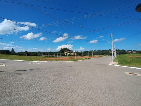 Foto Terreno